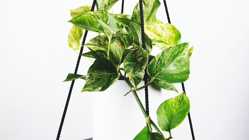 现代足球比赛高清直播技术控制中心内景